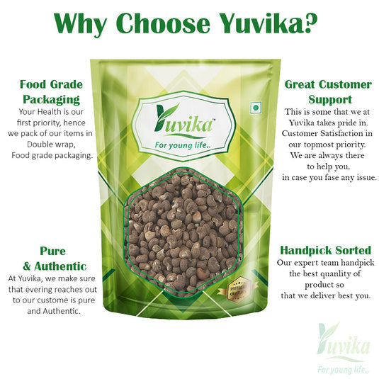 Yuvika Mushk Dana - Abelmoschus Moschatus - Ambrette Seeds image 3