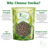 Yuvika Mushk Dana - Abelmoschus Moschatus - Ambrette Seeds image 3