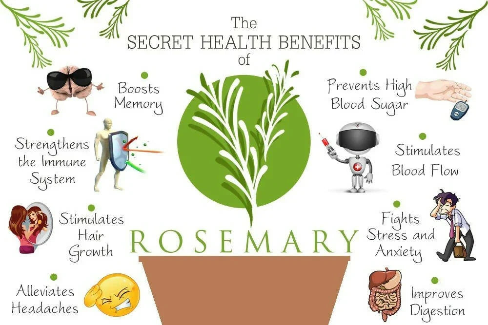 WishCare Rosemary Essential Oil -15 ml image 2
