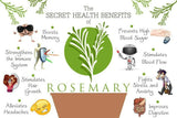 WishCare Rosemary Essential Oil -15 ml image 2