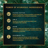 Indulekha Dandruff Treatment Shampoo -340 ml image 3