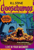 I Live in Your Basement : paperback