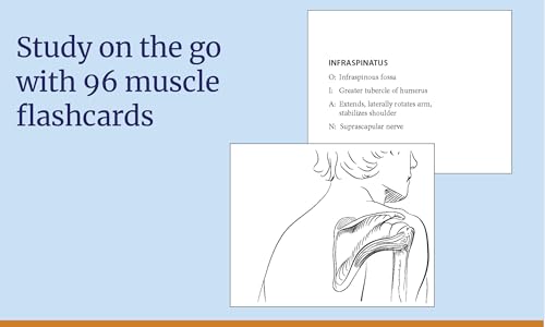 Anatomy Coloring Book with 450+ Realistic Medical Illustrations with Quizzes for Each - Stephanie McCann, Eric Wise (image 5)