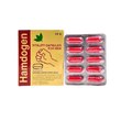Hamdard Hamdogen Herbal Wellness Capsules – Natural Vitality Support