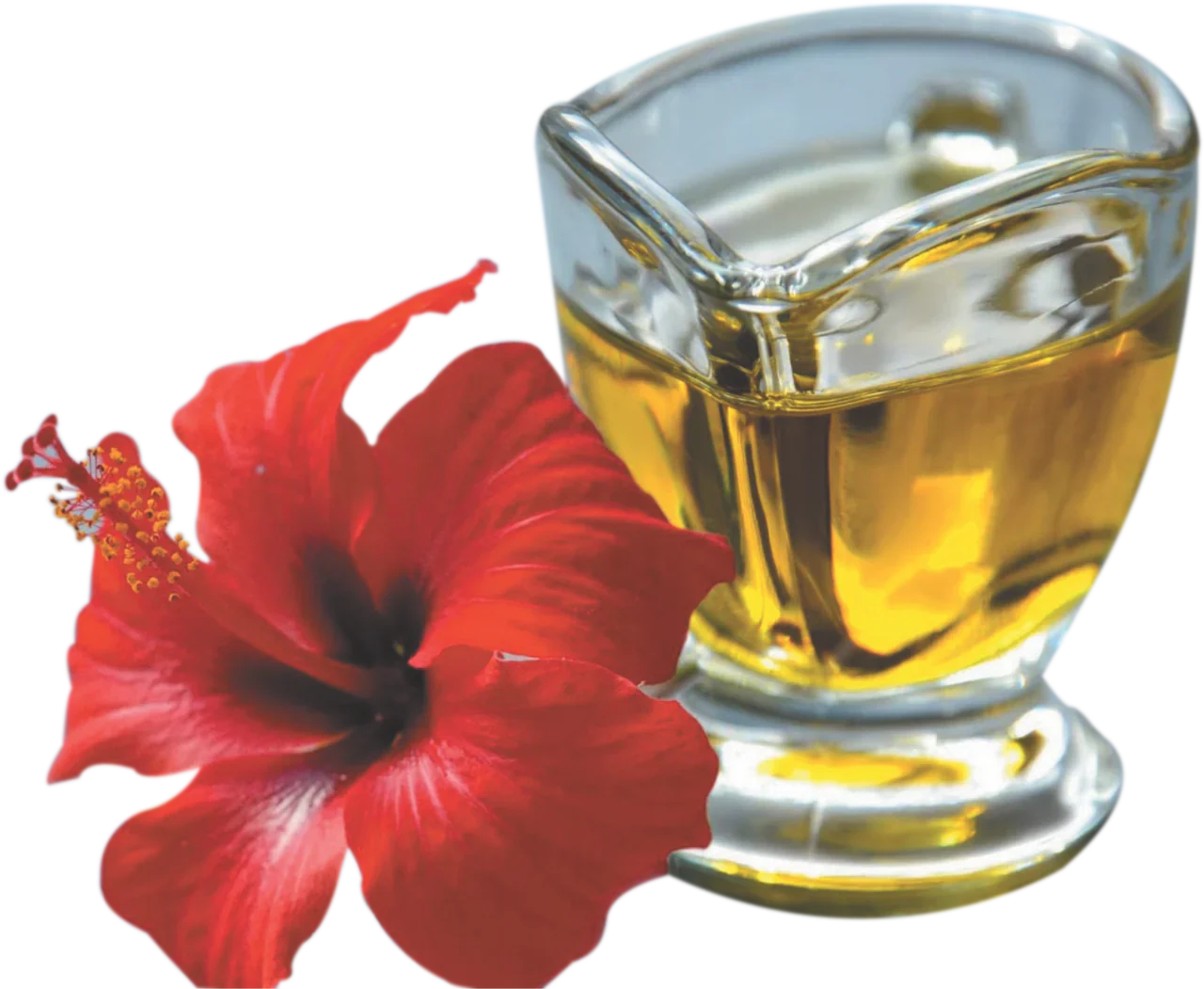Spag Herbals Hibiscus Herbal Hair Oil -100 ml image 2