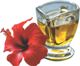 Spag Herbals Hibiscus Herbal Hair Oil -100 ml image 2