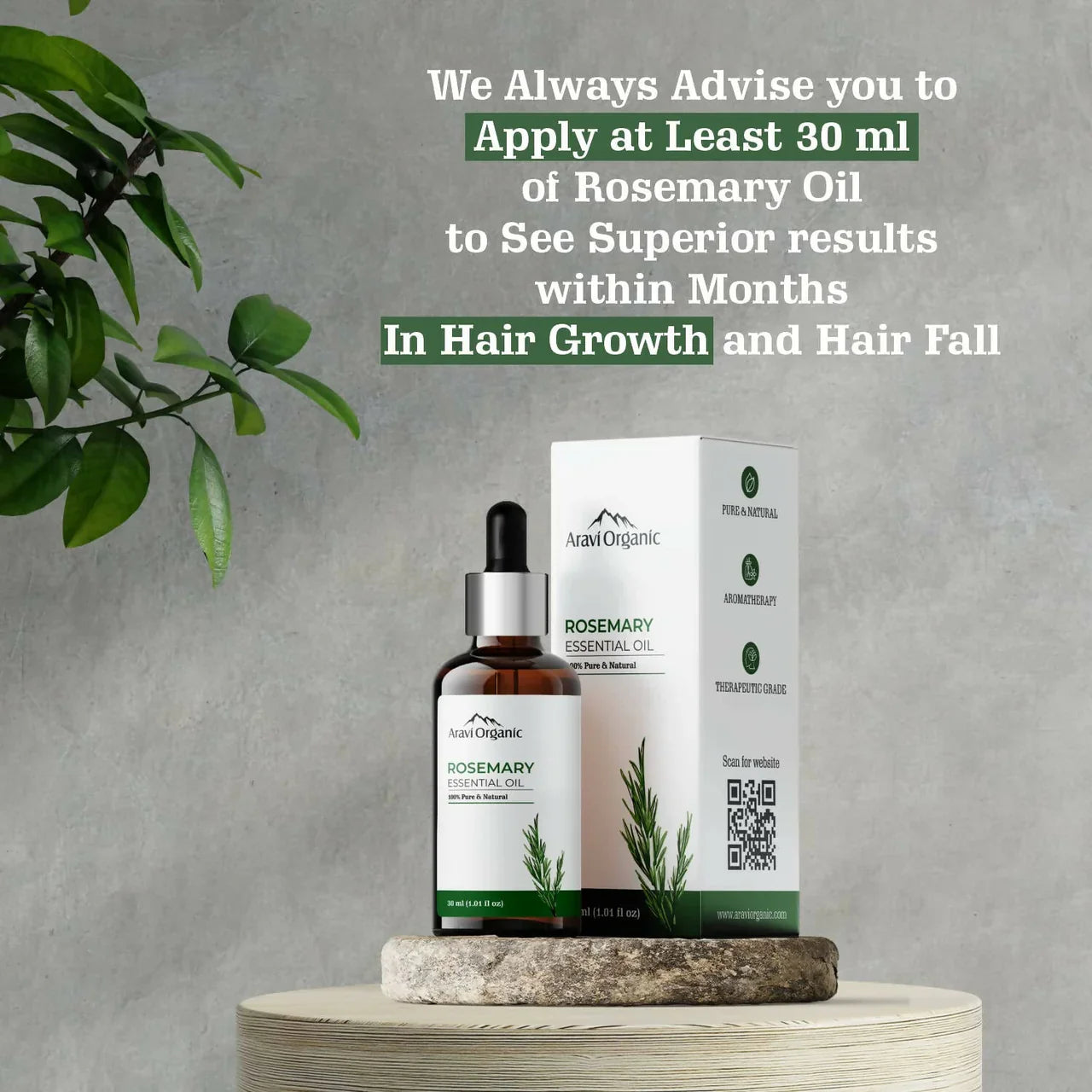 Aravi Organic Rosemary Essential Oil for Hair Growth, Anti Hair Fall -30 ml image 3