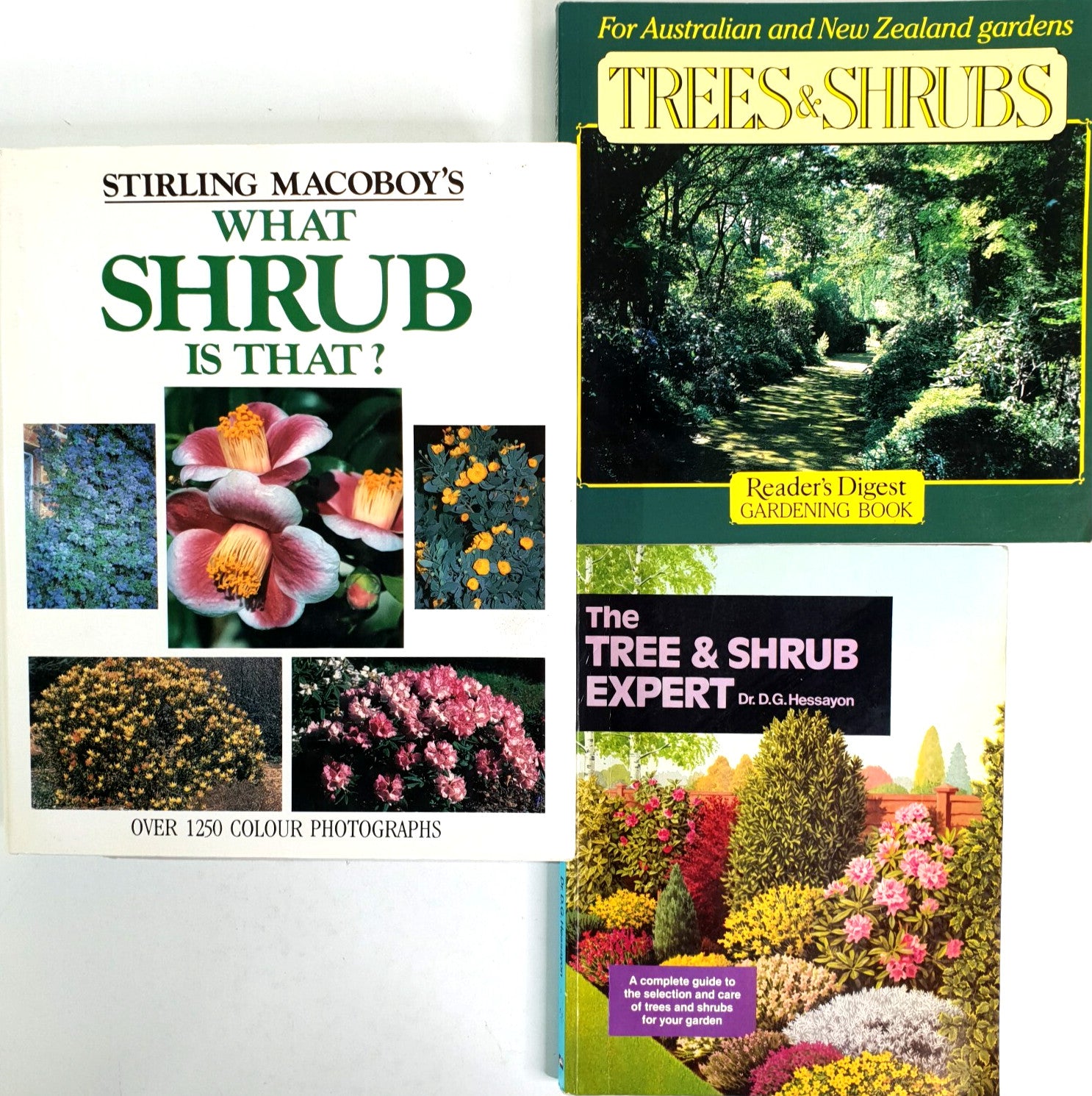 Adult Colouring Books Nature Garden and Forests - Spanish - Spanish Edition |... image 2