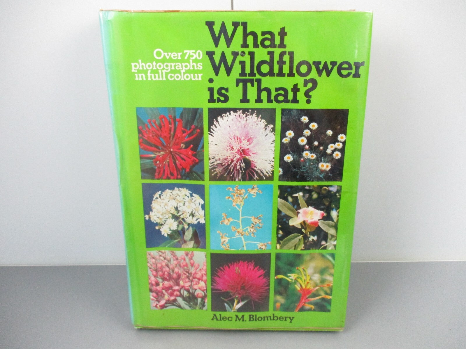 Scenic Science of the National Parks - Emily Hoff and Maygen Keller - Paperba... image 5
