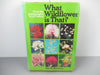 Scenic Science of the National Parks - Emily Hoff and Maygen Keller - Paperba...