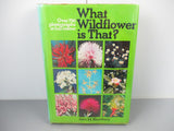 Scenic Science of the National Parks - Emily Hoff and Maygen Keller - Paperba... image 5