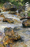 Walden – henry david thoreau, Paperback, Brand New