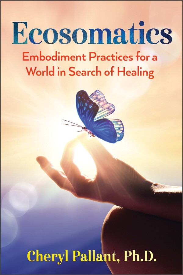 A Manual For Manifesting Your Dream Life Paperback – by Eric John Campbell – Eri image 2