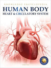 Human Body - Heart And Circulatory System: Knowledge Encyclopedia For Childre...