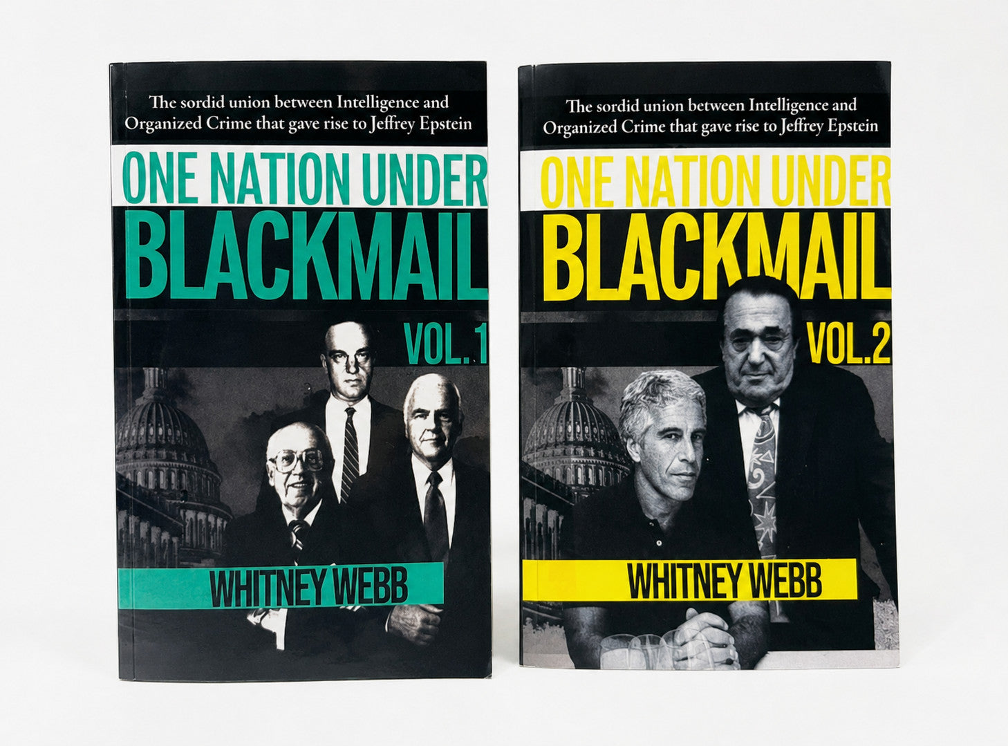 One Nation Under Blackmail: - Vol 1 - Paperback – by Whitney Alyse Webb – Whi image 7