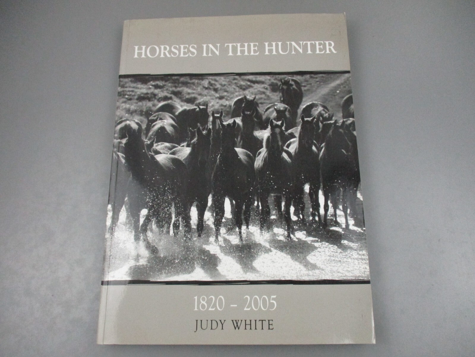 The Starlight Stables Gang - Esme Higgs , Jo Cotterill , et al. - Paperback -... image 2