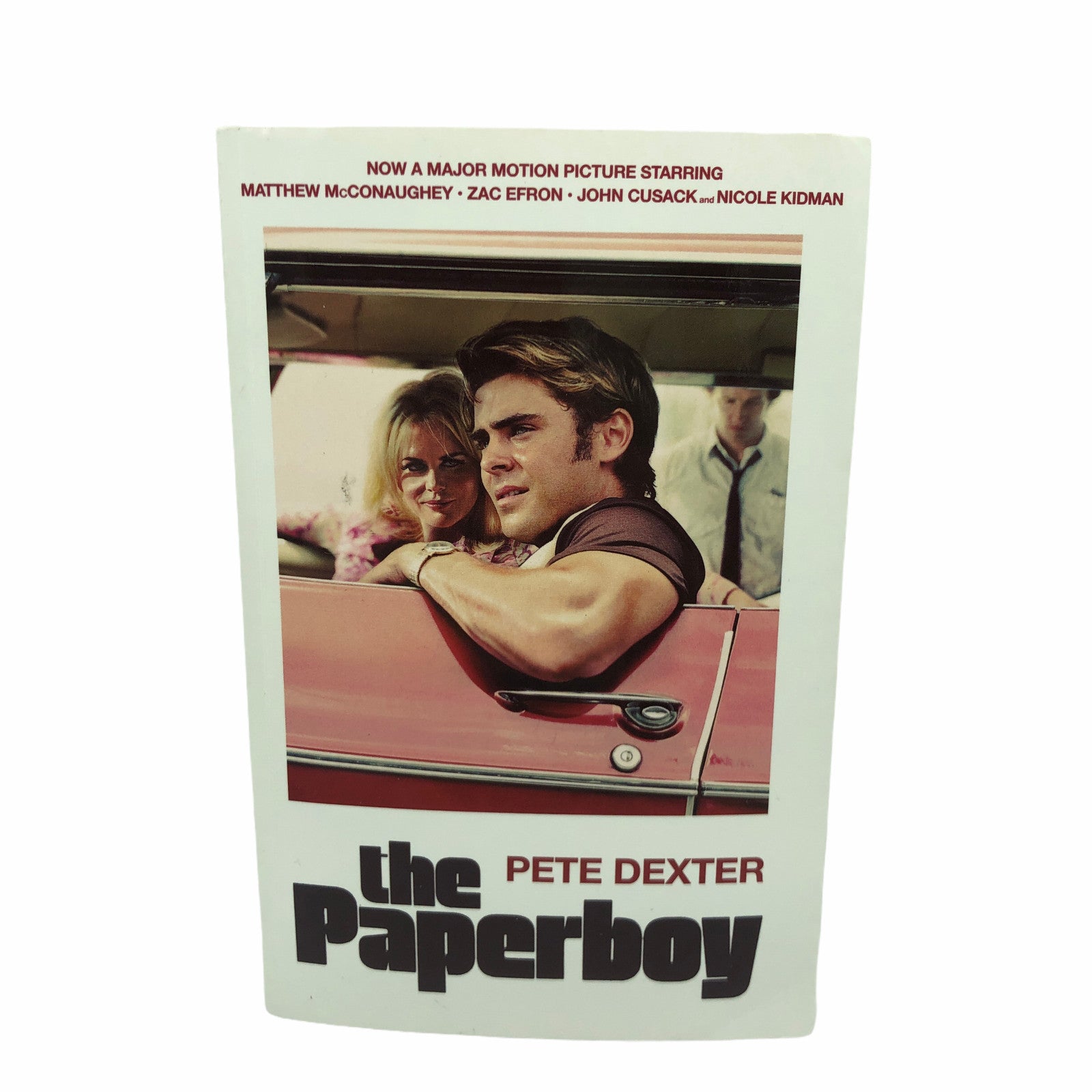 The Boy of the Painted Cave - Justin Denzel - Paperback - Brand New image 2