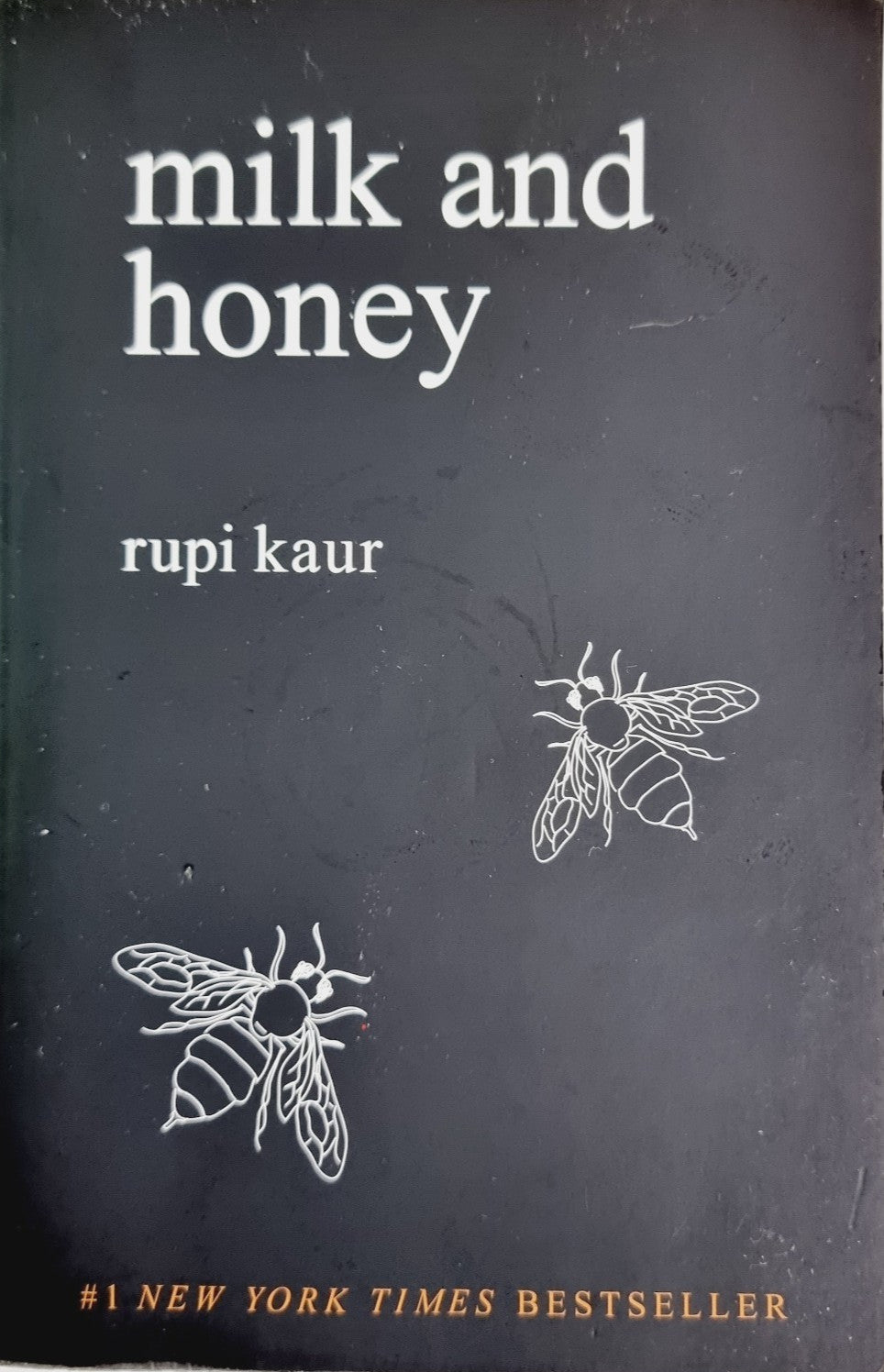 Harappan Adventure, A - GUPTE SUNILA - Paperback - Brand New image 3