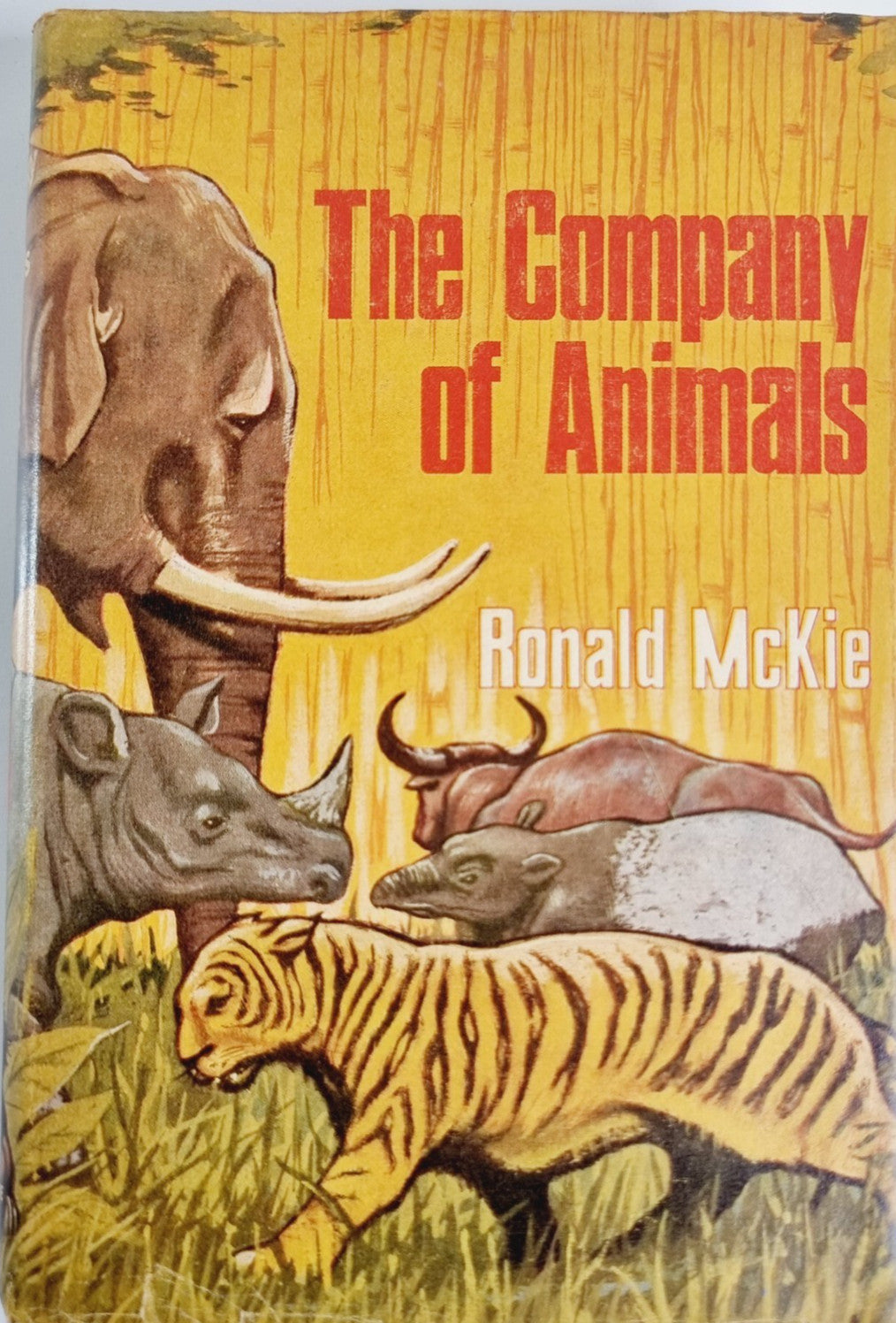 Animals - Reptiles and Amphibians : Knowledge Encyclopedia For Children - Won... image 6