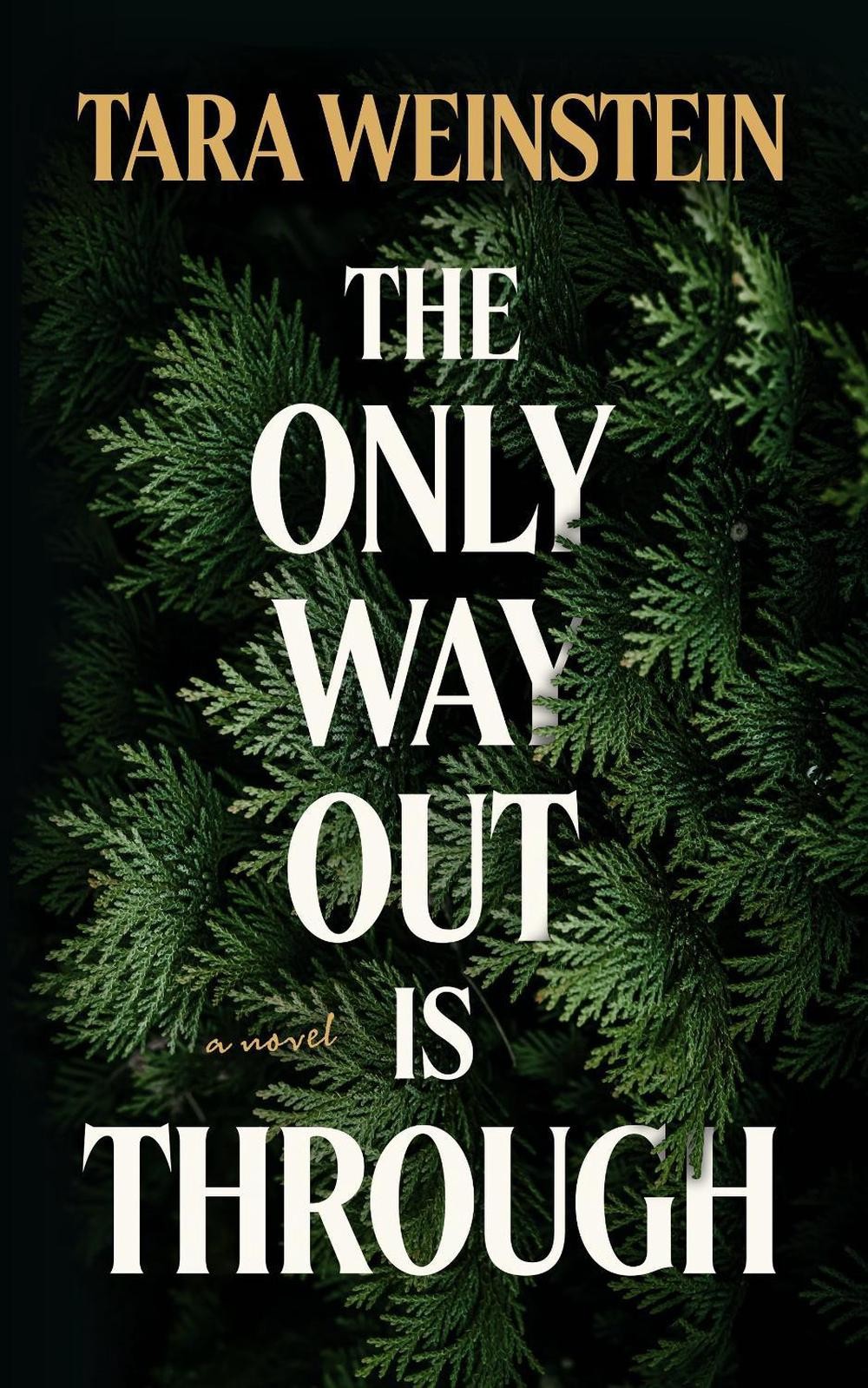 Will Grayson, Will Grayson - John Green and David Levithan - Paperback - Bran... image 7