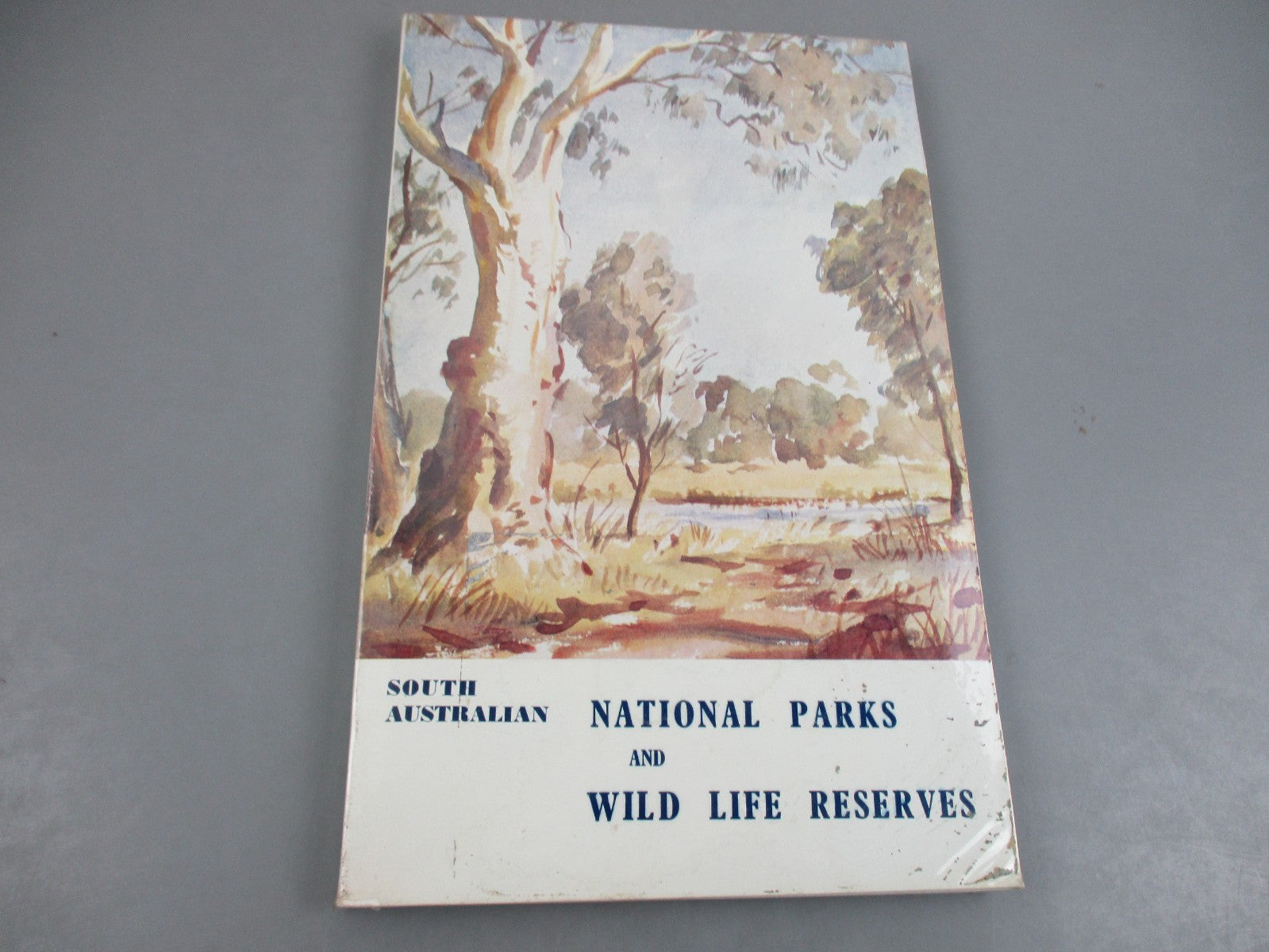 Scenic Science of the National Parks - Emily Hoff and Maygen Keller - Paperba... image 3