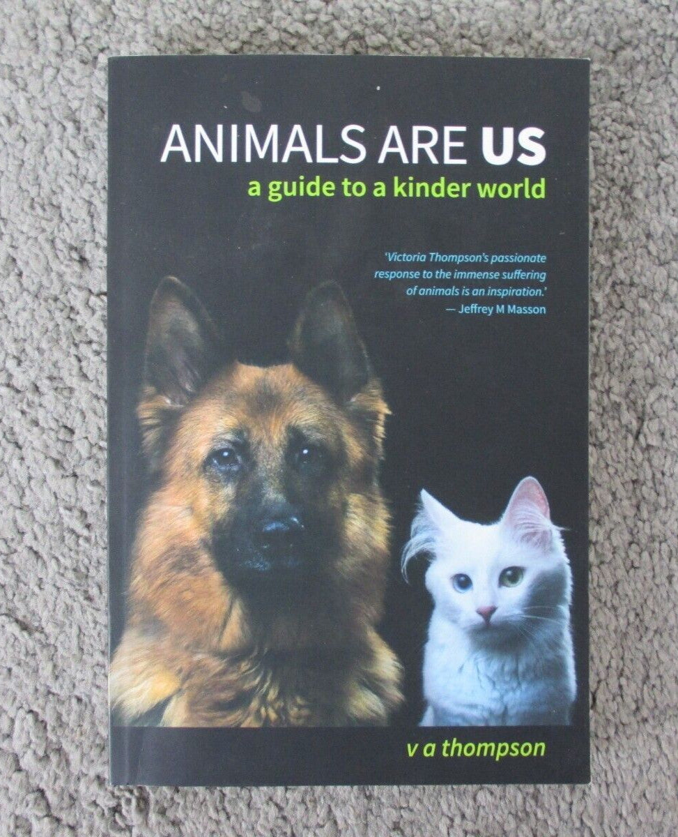 The Shadows Between Us - Tricia Levenseller - Paperback - Brand New image 2