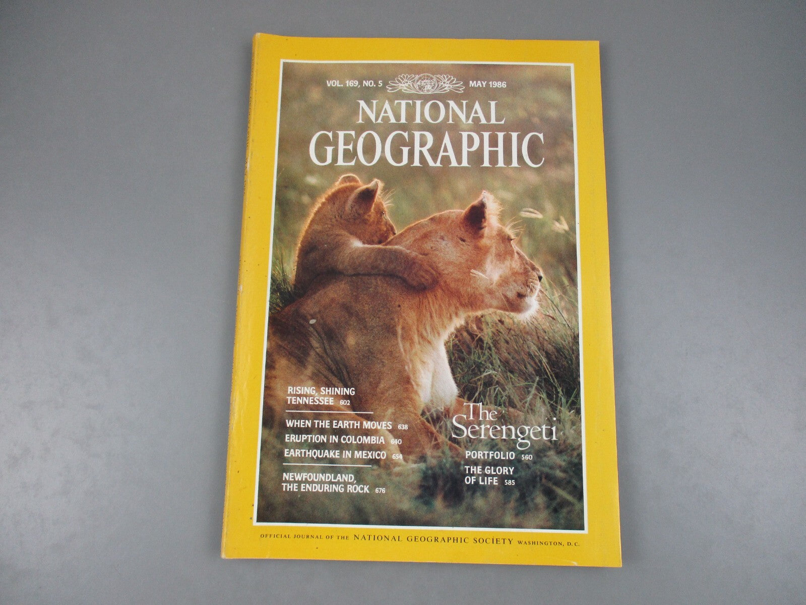 The Great Indian Safari | Introduction to India’s Rich Biodiversity and Anima... image 3