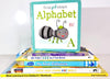 Word Search – Mind Teasers: Classic Word Puzzle Book for Everyone | Boost Voc...
