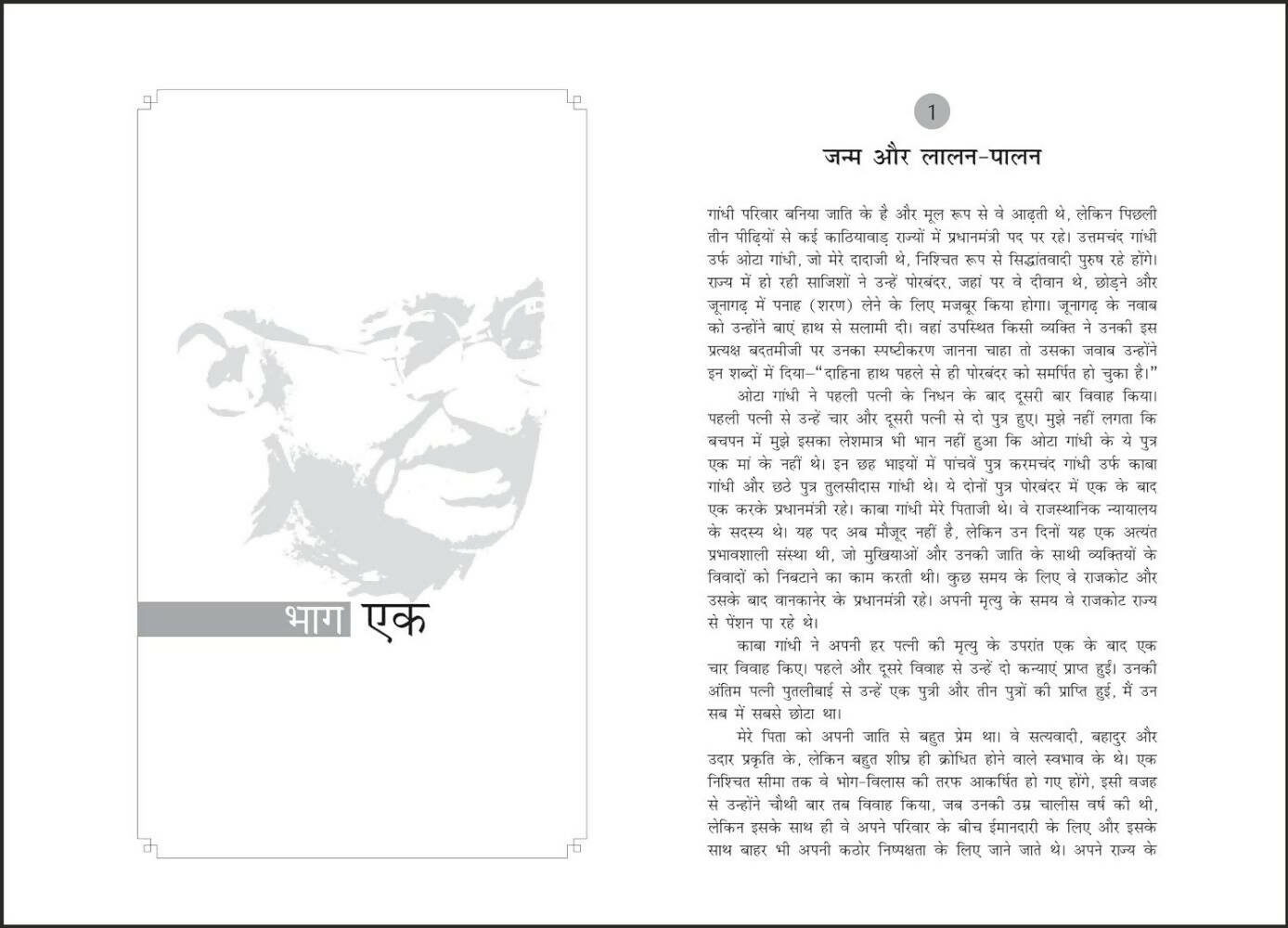 The Story of My Experiments With Truth: Mahatma Gandhi, An Autobiography (Hindi) – Books (image 7)